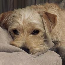 Guahan Grill Island Fusion restaurant view 1