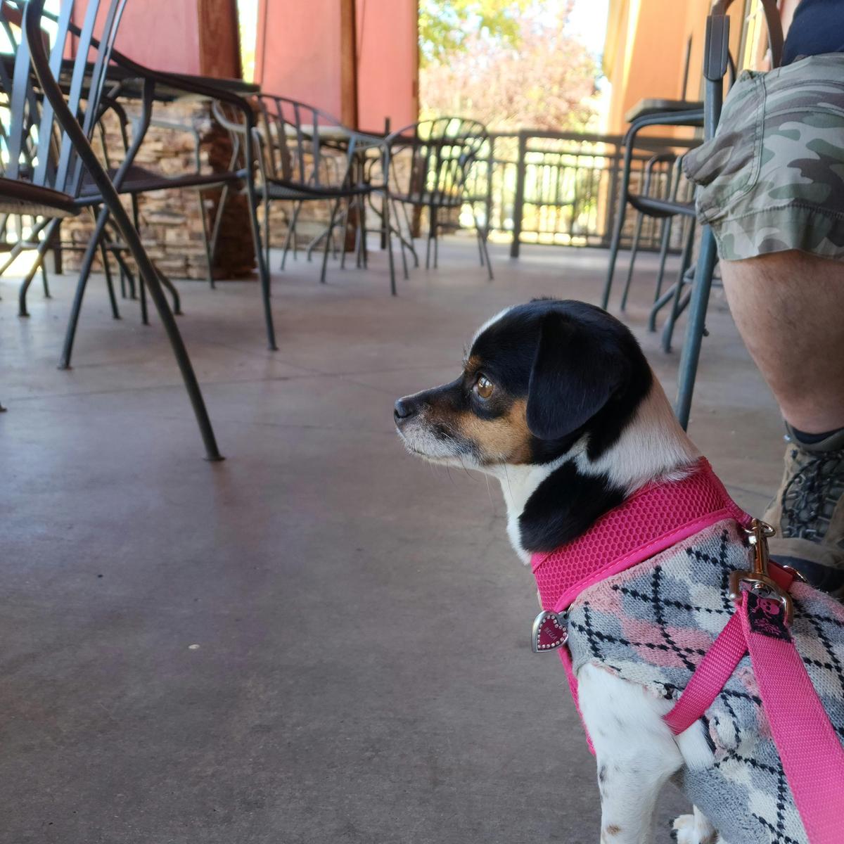 Applebee's restaurant view 1