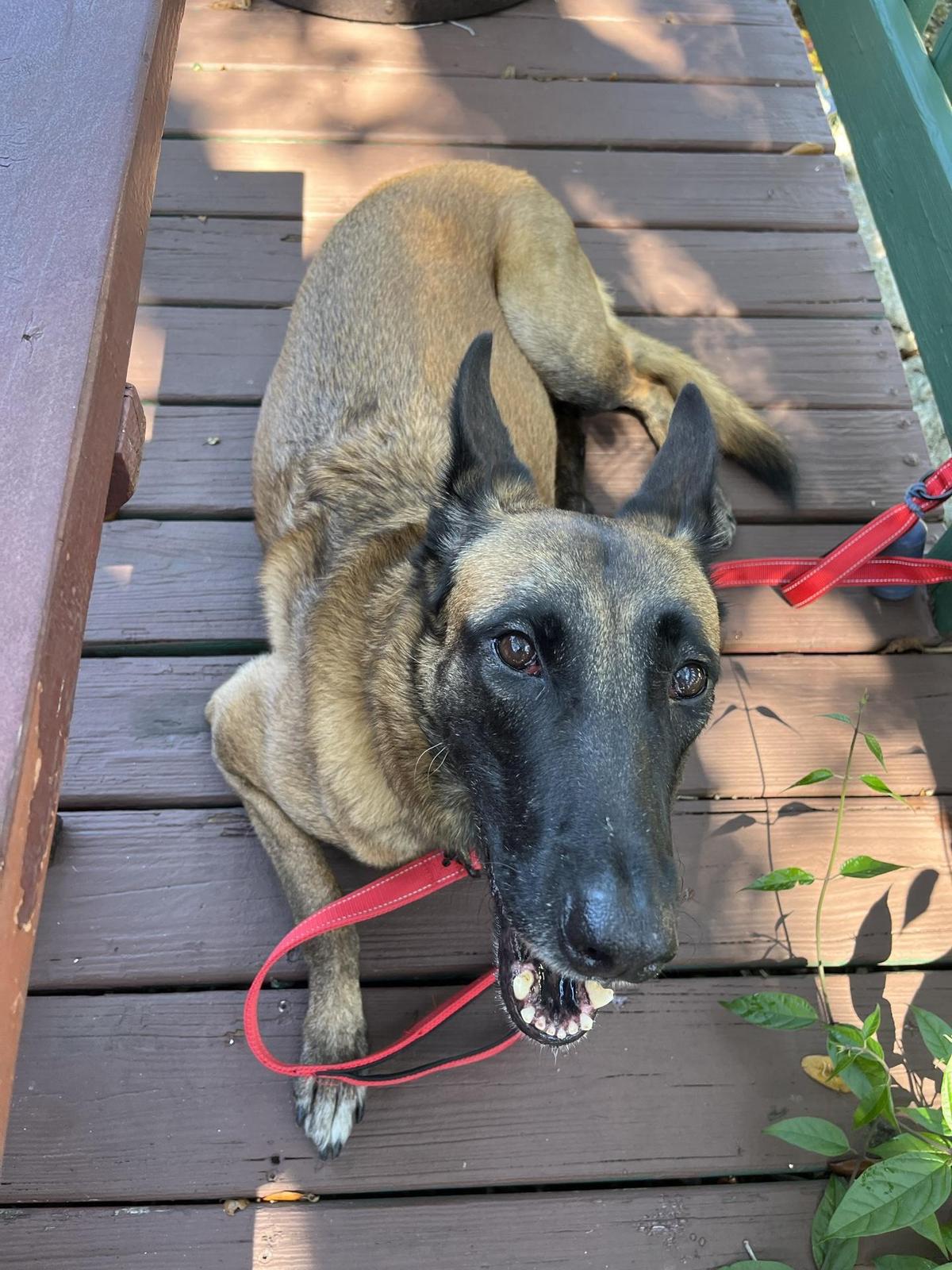 Peace River Seafood restaurant view 1