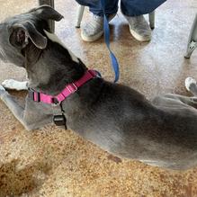 Sharon's Barbeque & Catering restaurant view 1