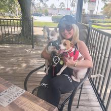 The Smiling Dog restaurant view 2