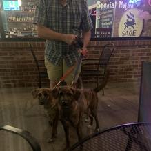 The Sage Rabbit restaurant view 1