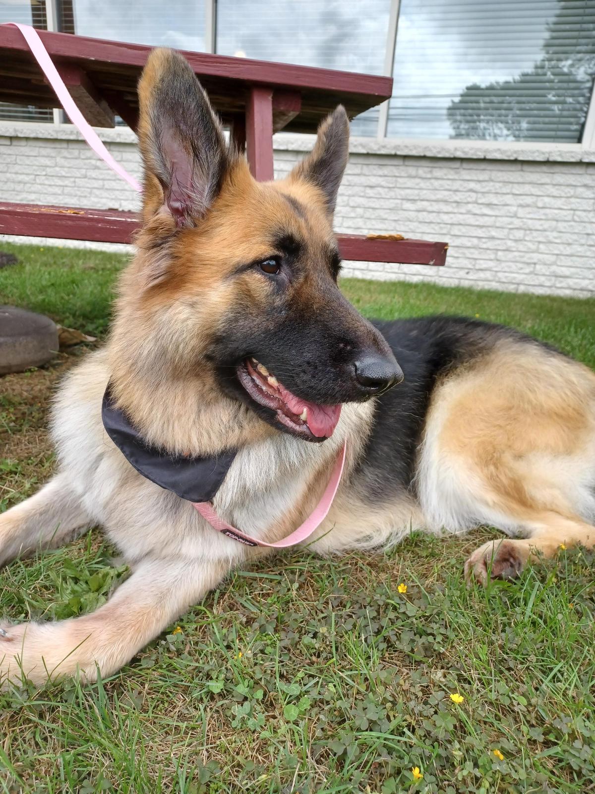 Hickory Ridge Restaurant restaurant view 1