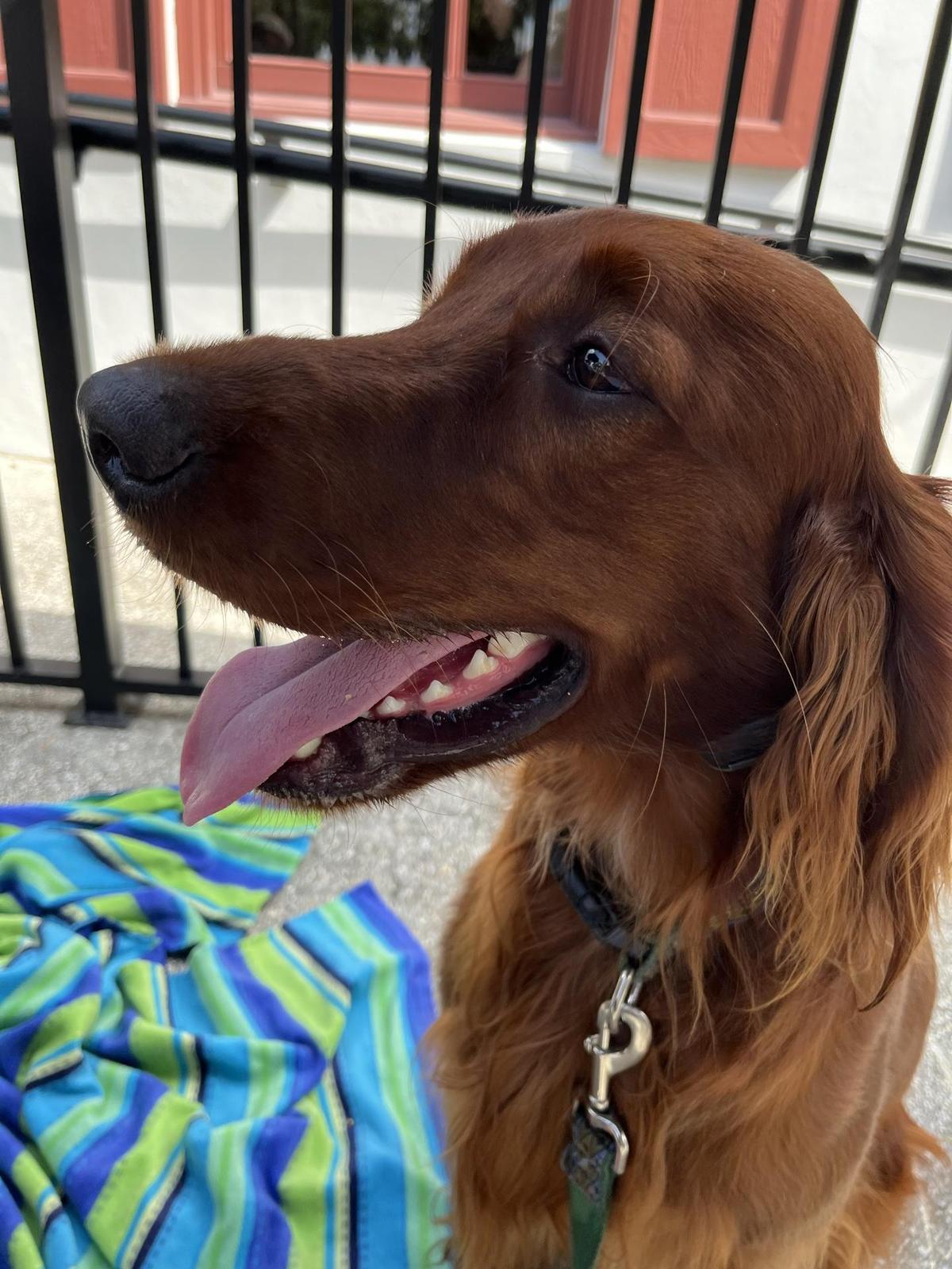 Mojo Old City BBQ restaurant view 1