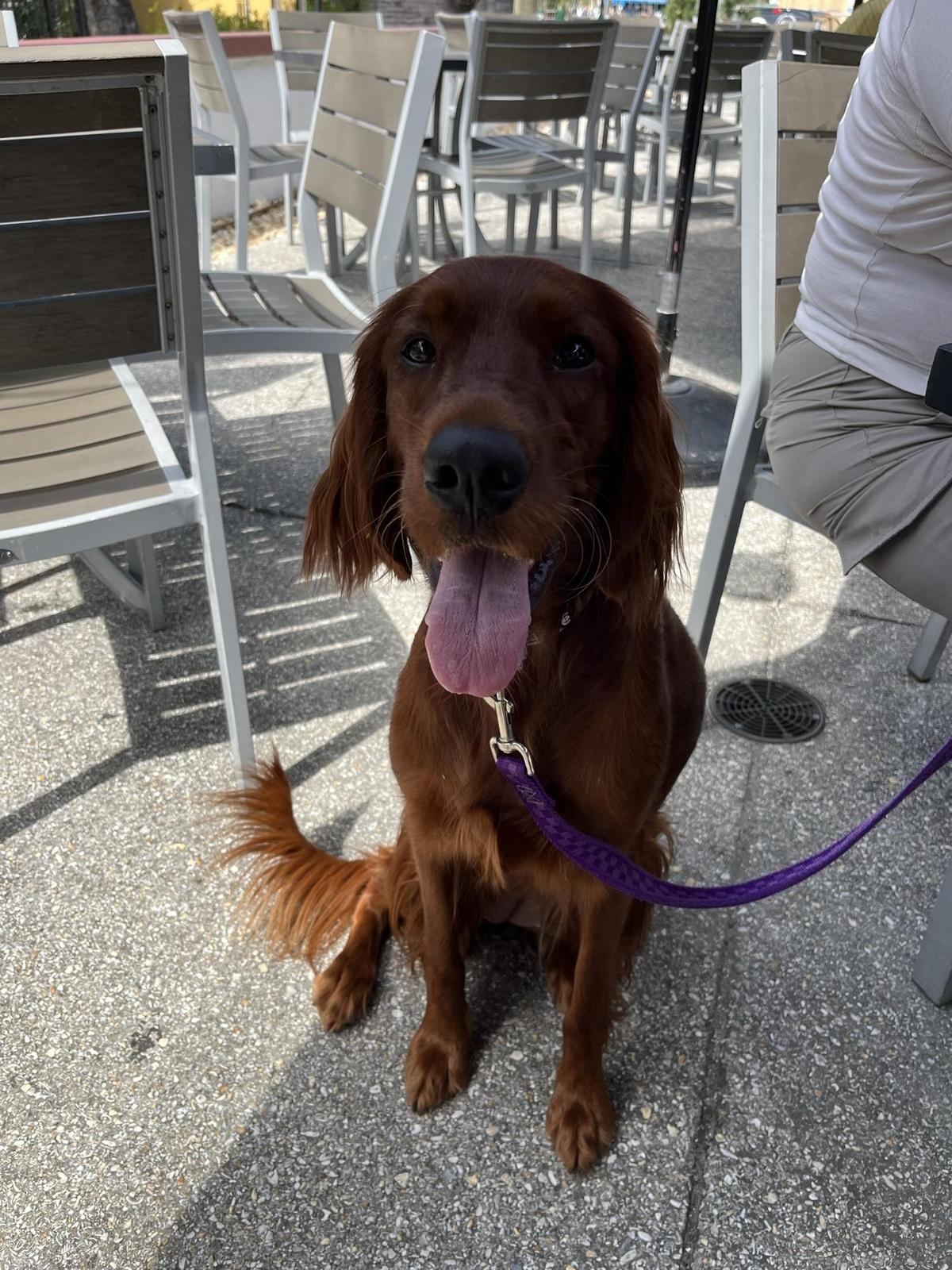 Mojo Old City BBQ restaurant view 2