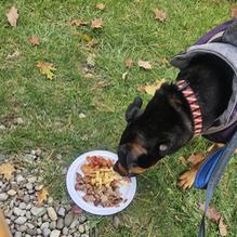 Harvey's Main Street BBQ restaurant view 1