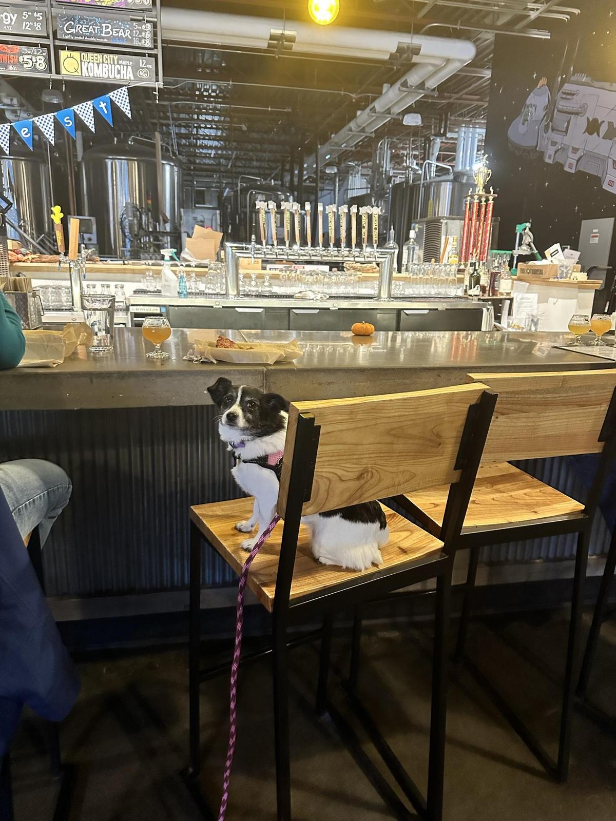 Four Quarters Brewing restaurant view 1