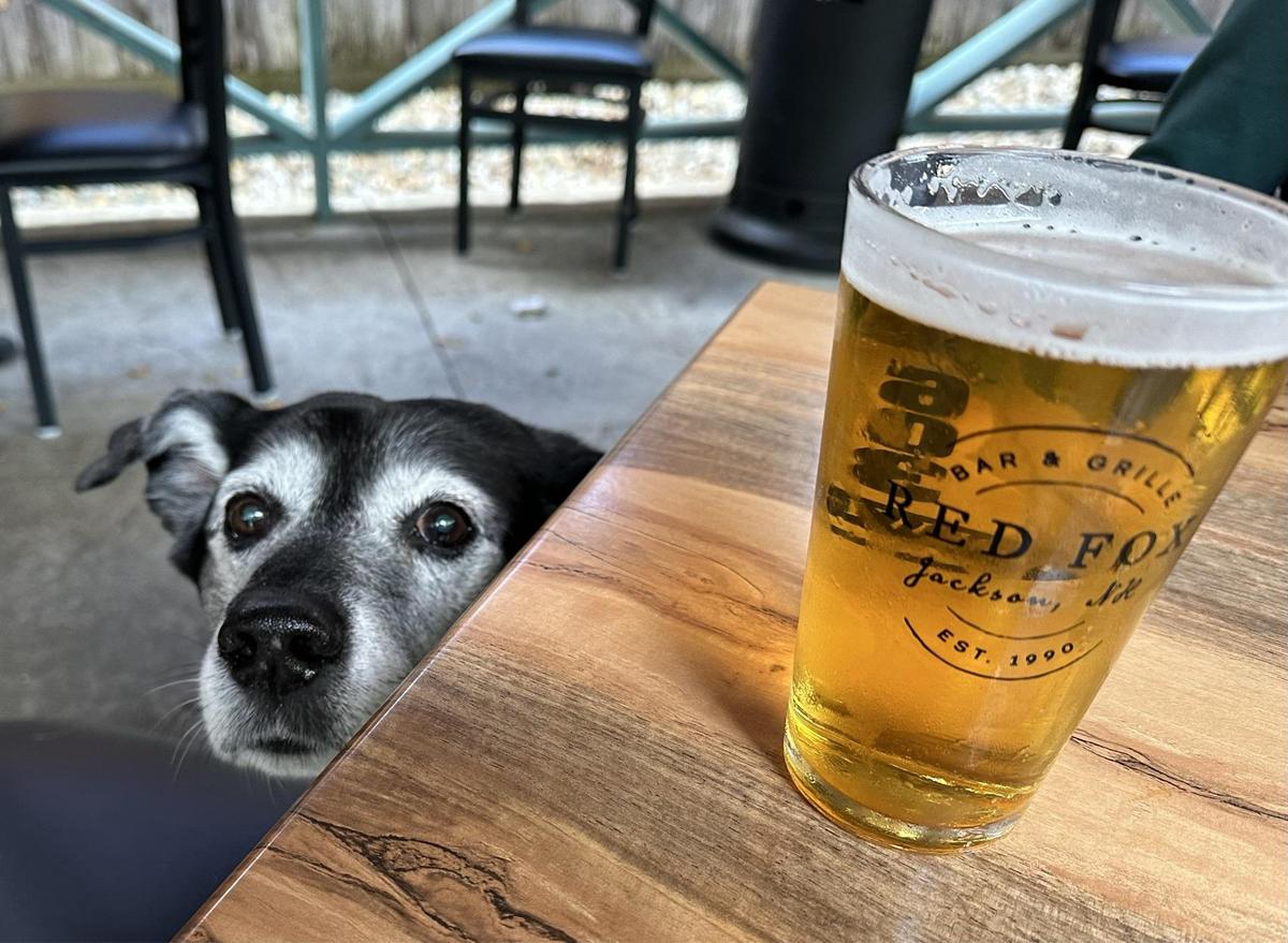 Red Fox Bar and Grille restaurant view 1