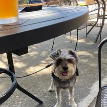 Seaside Bar & Grill restaurant view 1