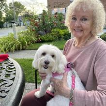 Gringo Jack's restaurant view 2