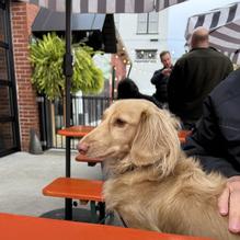 Briergarten restaurant view 1