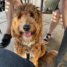 Cicada Cantina restaurant view 1