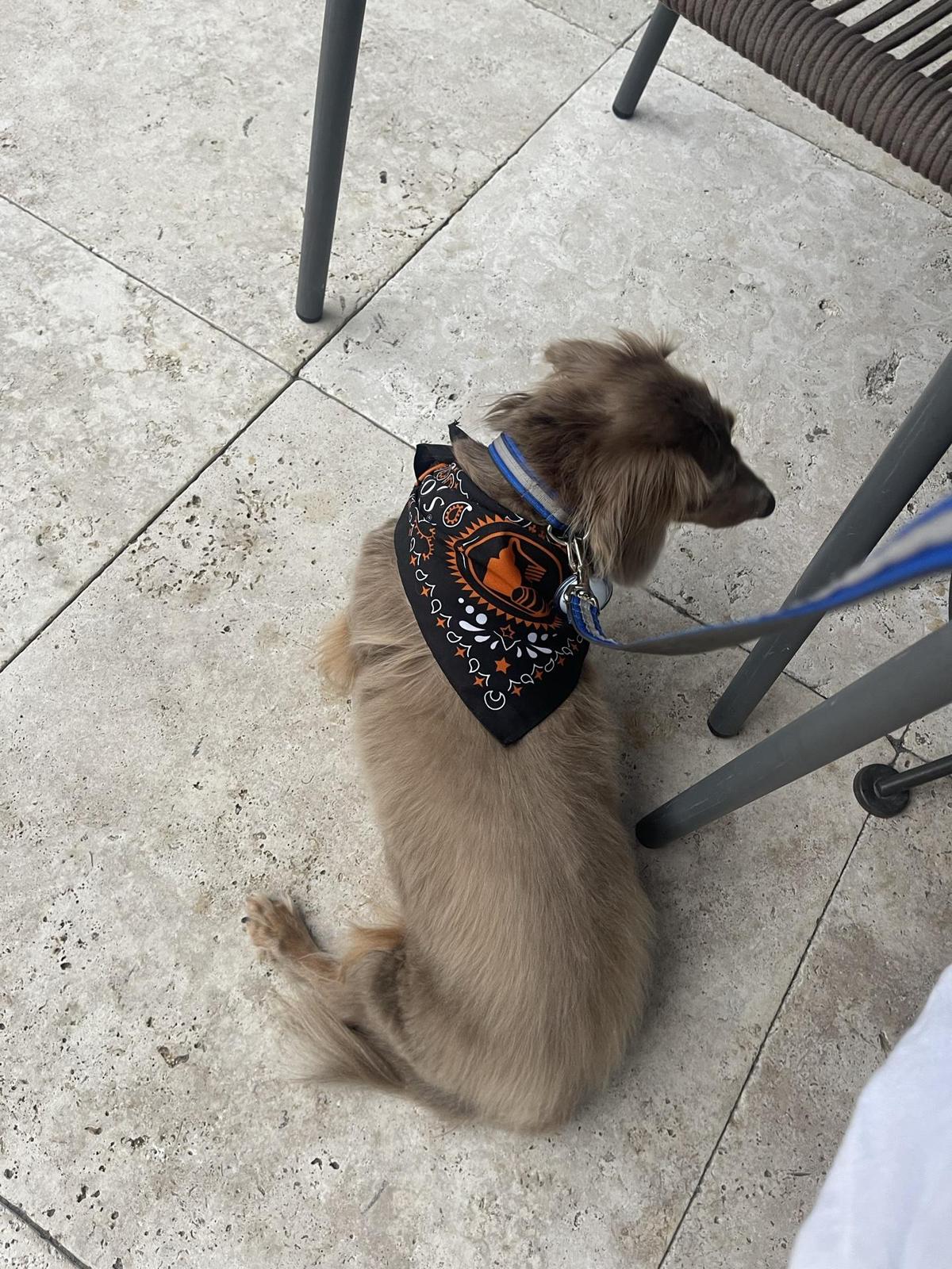 Grace & Grit restaurant view 1