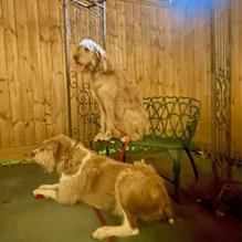 Kemah Steak Company restaurant view 1