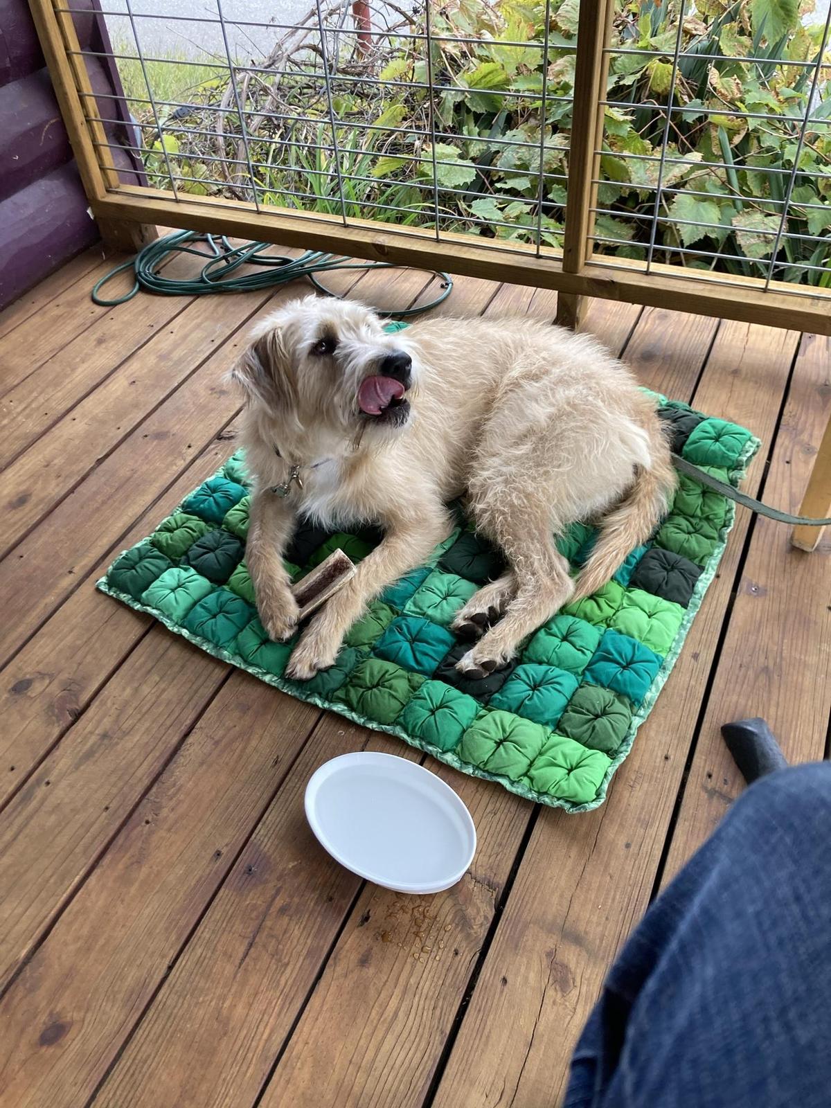 Porter Haus restaurant view 1