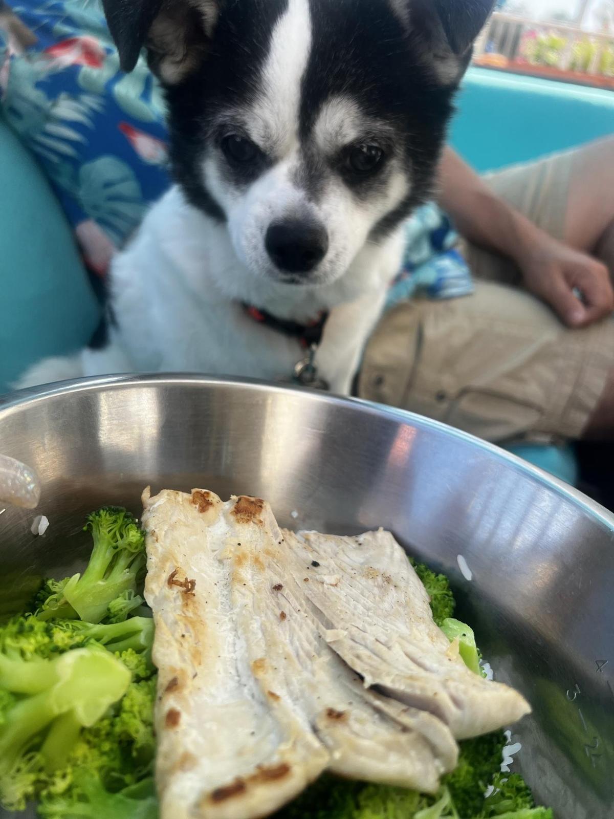 Island Wing Company Grill & Bar restaurant view 1