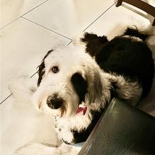 Campestre restaurant view 1