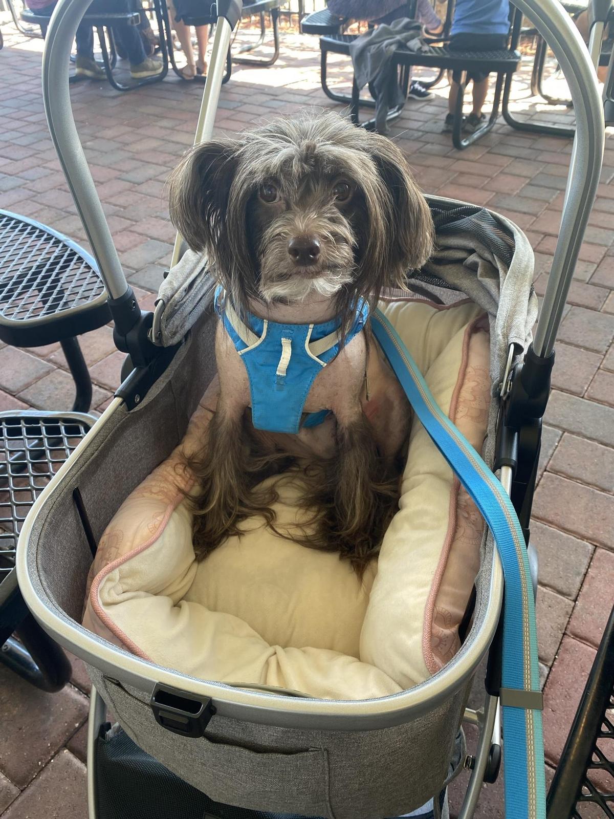 Sunrise Eatery restaurant view 2