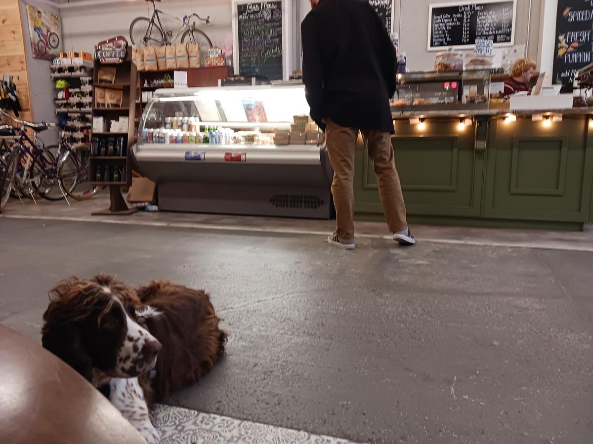 Ottawa Bike Cafe restaurant view 1