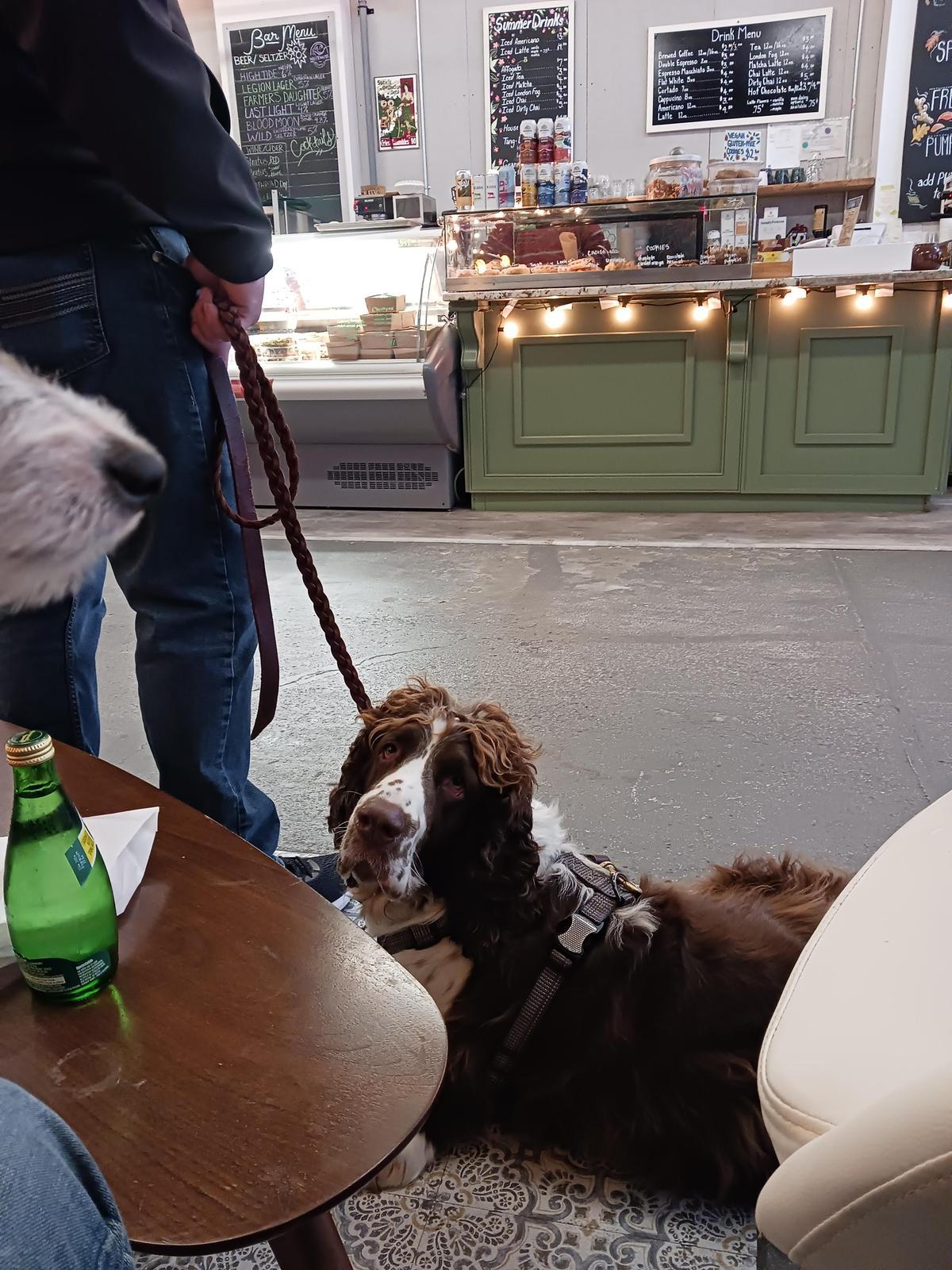 Ottawa Bike Cafe restaurant view 2