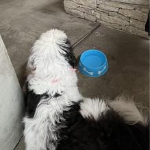 Trackside Restaurant at Paris Train Depot restaurant view 3