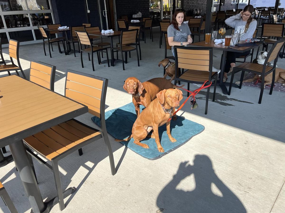 58 West restaurant view 5