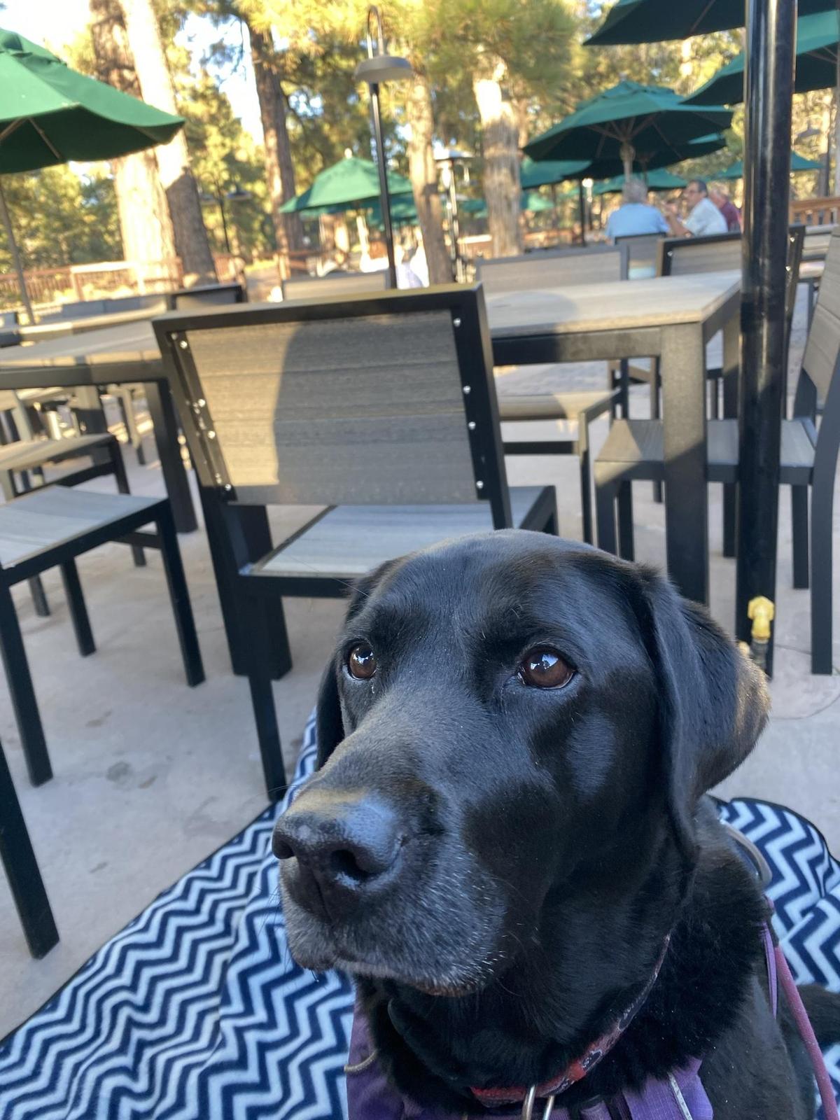 Yavapai Lodge Tavern restaurant view 2