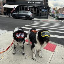 The Kettle Black restaurant view 1