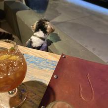 Fish Gaucho restaurant view 1