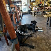 Broken Compass Brewery Taproom restaurant view 2