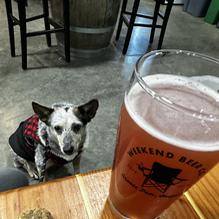 Weekend Beer Company restaurant view 2