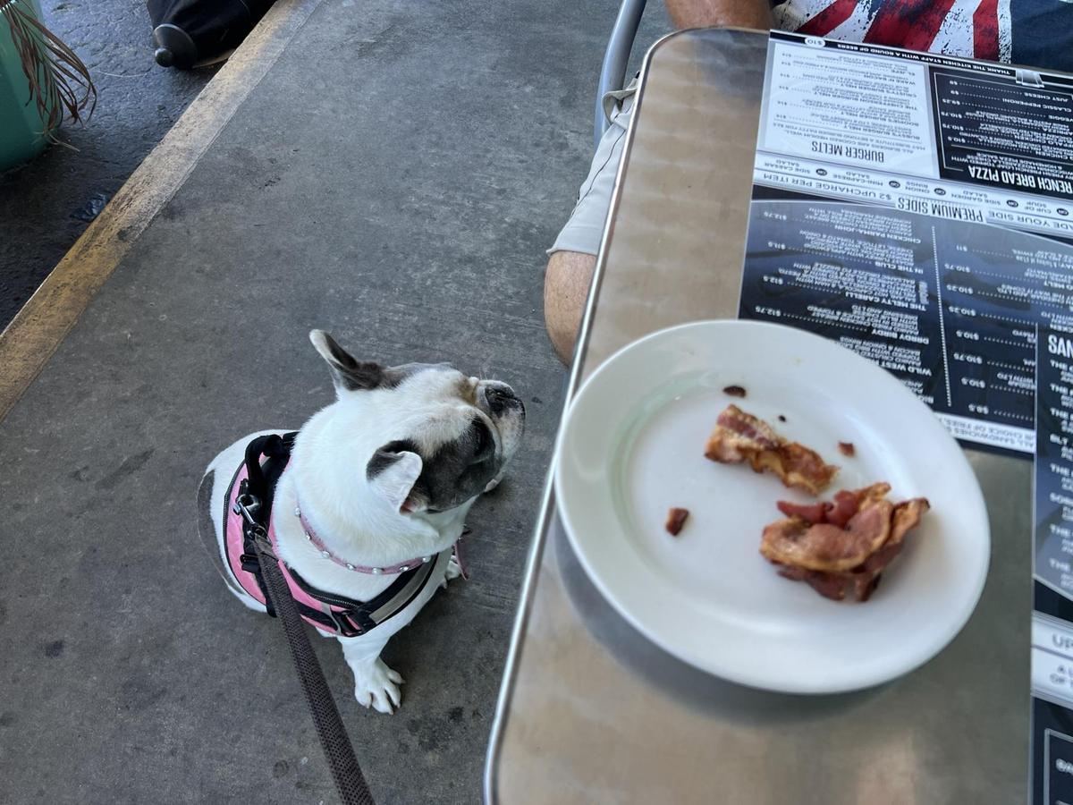 The Wheelhouse restaurant view 1