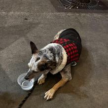 Weekend Beer Company restaurant view 1