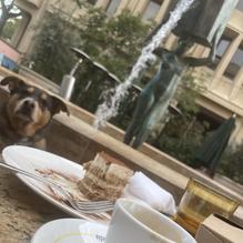 Caffe Riace restaurant view 1