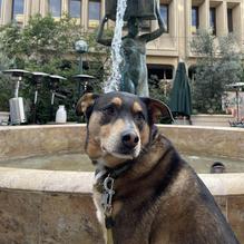 Caffe Riace restaurant view 2