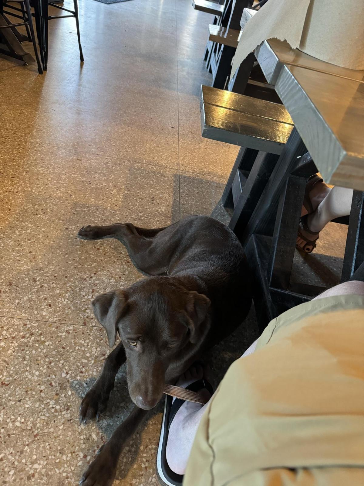 Nueces Brewing Company restaurant view 1