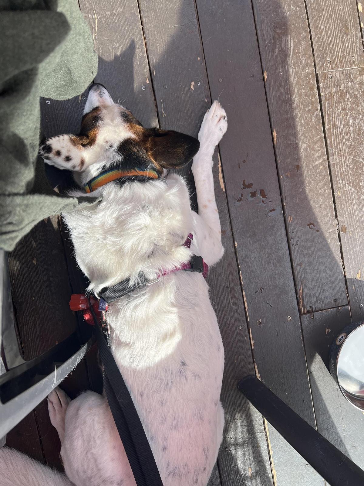 Village Bar & Grill restaurant view 1