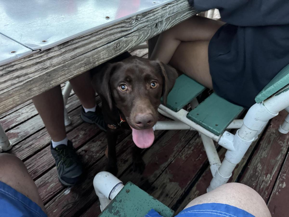 Pier 99 Restaurant restaurant view 2