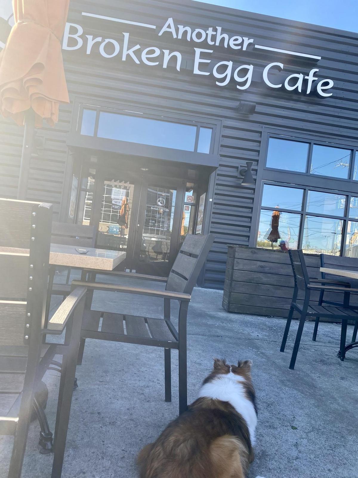 Image of Another Broken Egg Cafe