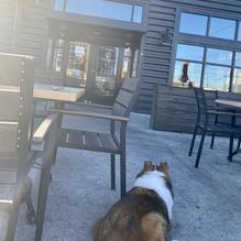 Another Broken Egg Cafe restaurant view 1