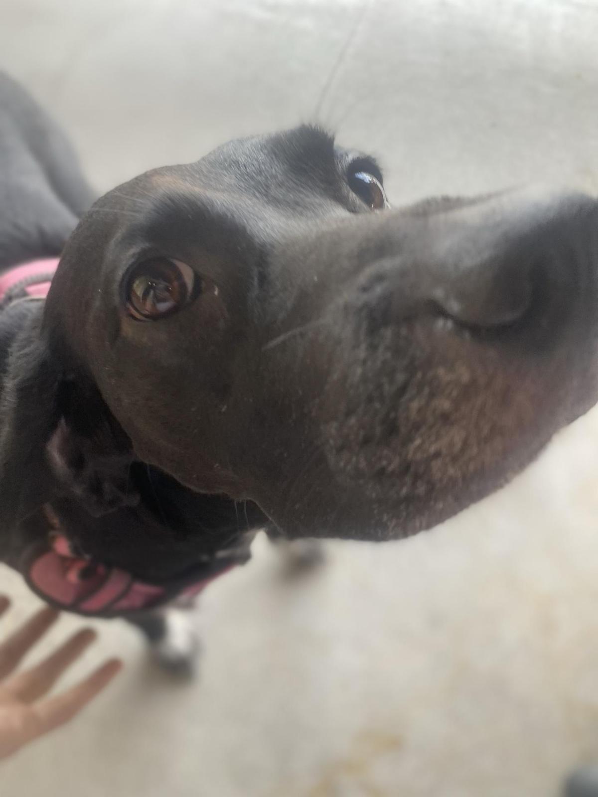 Ford's Garage restaurant view 2