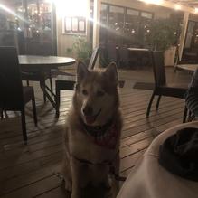 Red Fish restaurant view 1