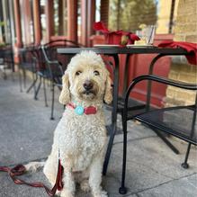 Pignetti's restaurant view 1