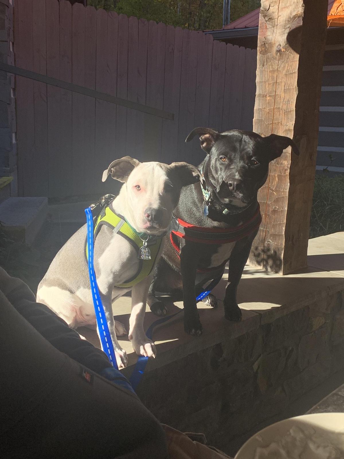 Apple Valley Kitchen Cafe restaurant view 2