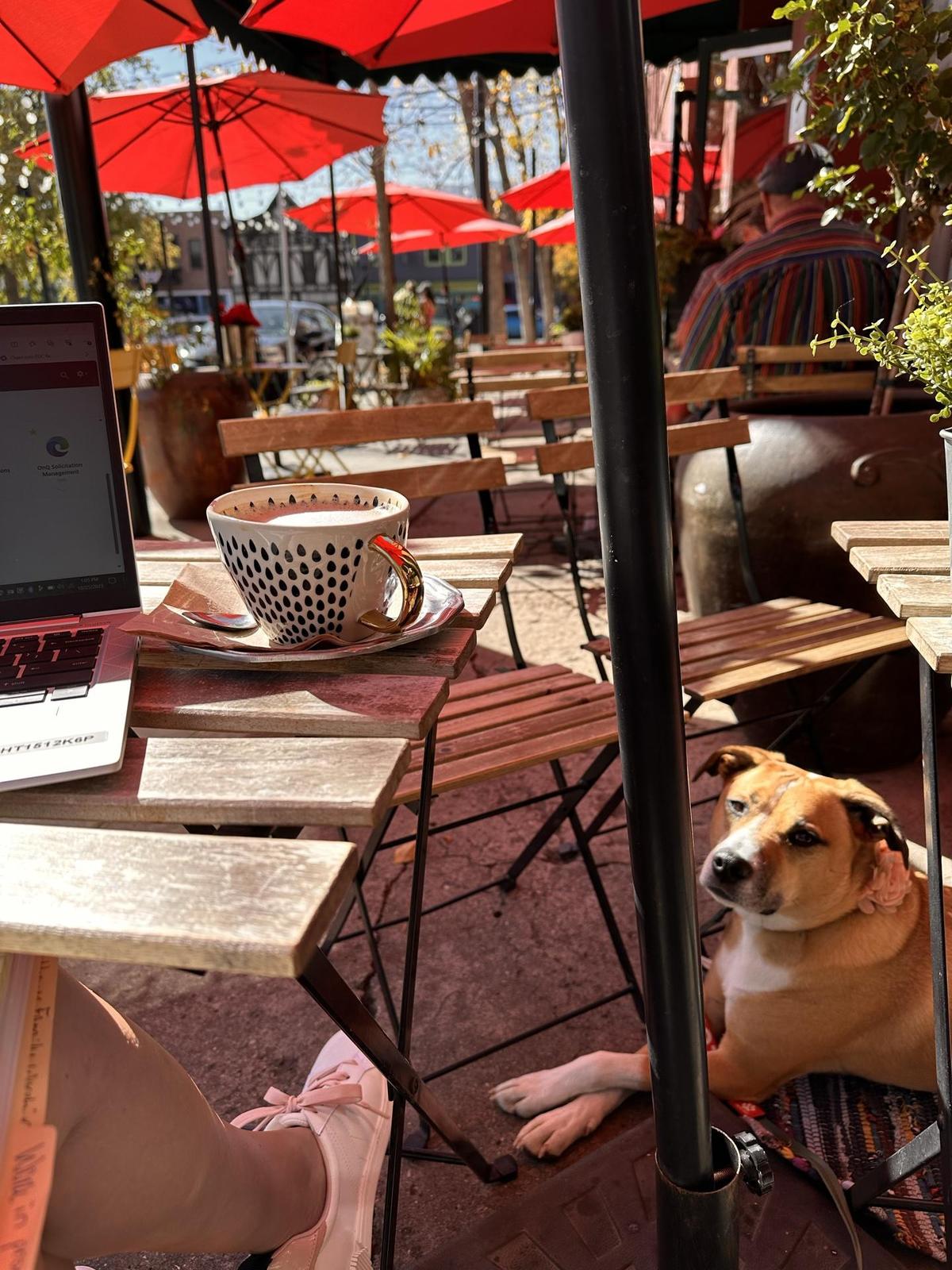 Jives Coffee Lounge restaurant view 1