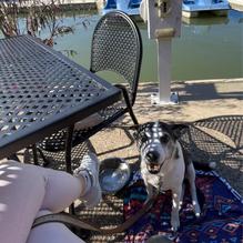 Boathouse at Forest Park restaurant view 3