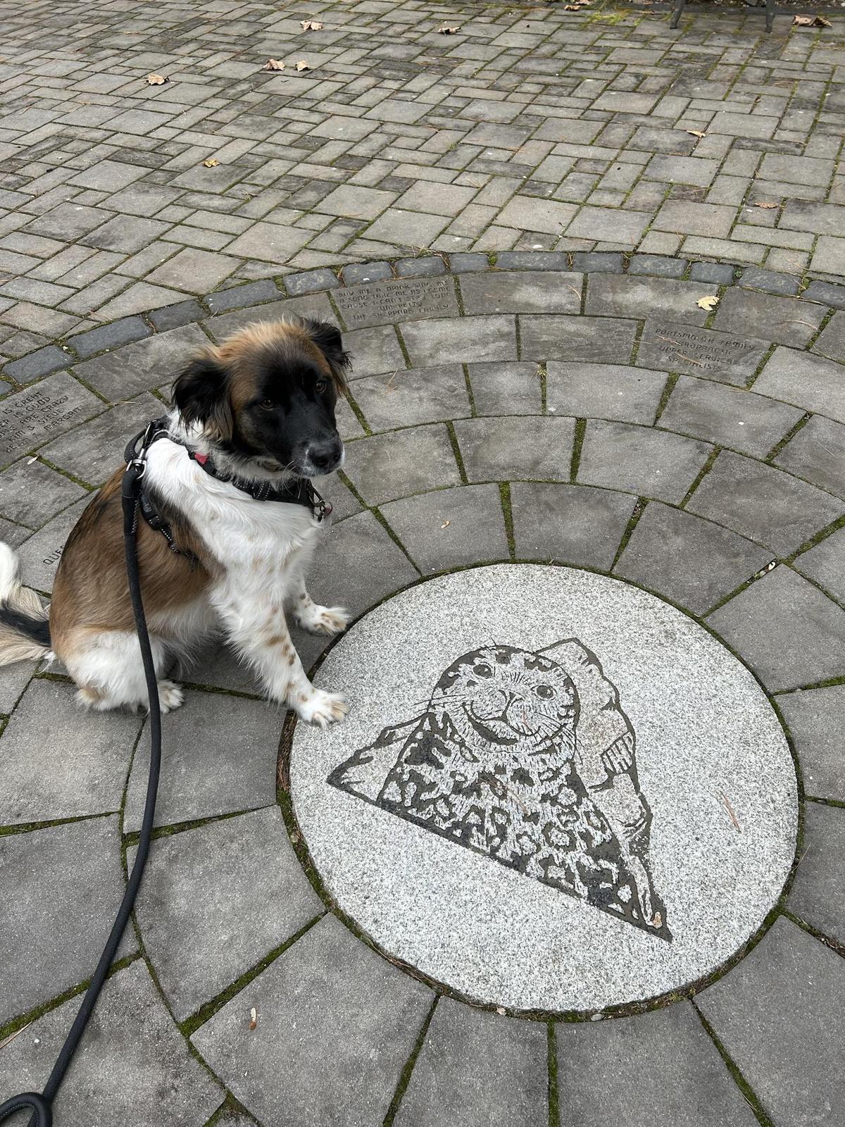 Smuttynose Restaurant restaurant view 1