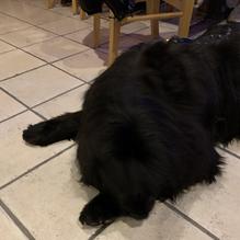 Platte Valley Taphouse restaurant view 1