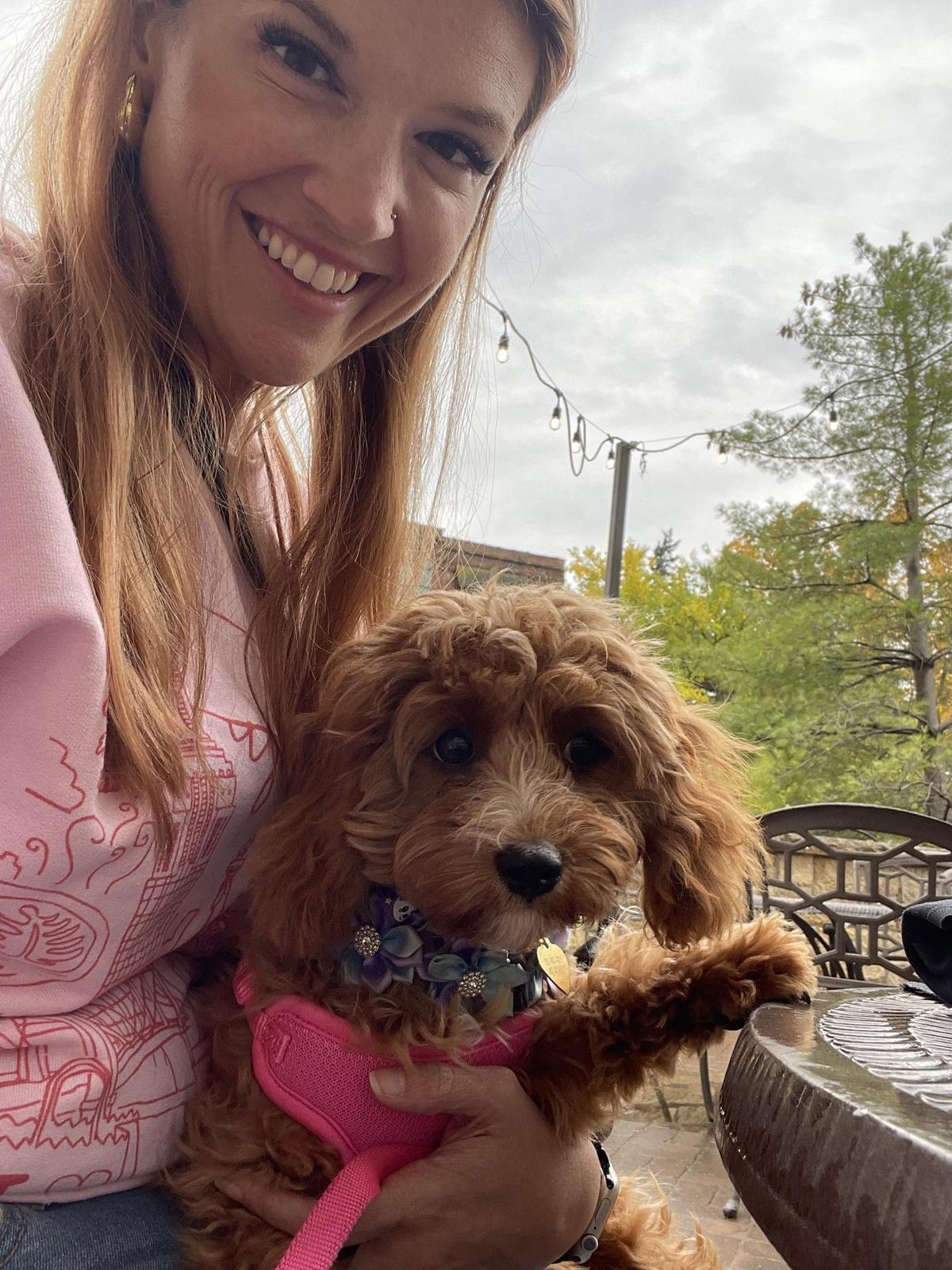 Bird Dog Bar restaurant view 1