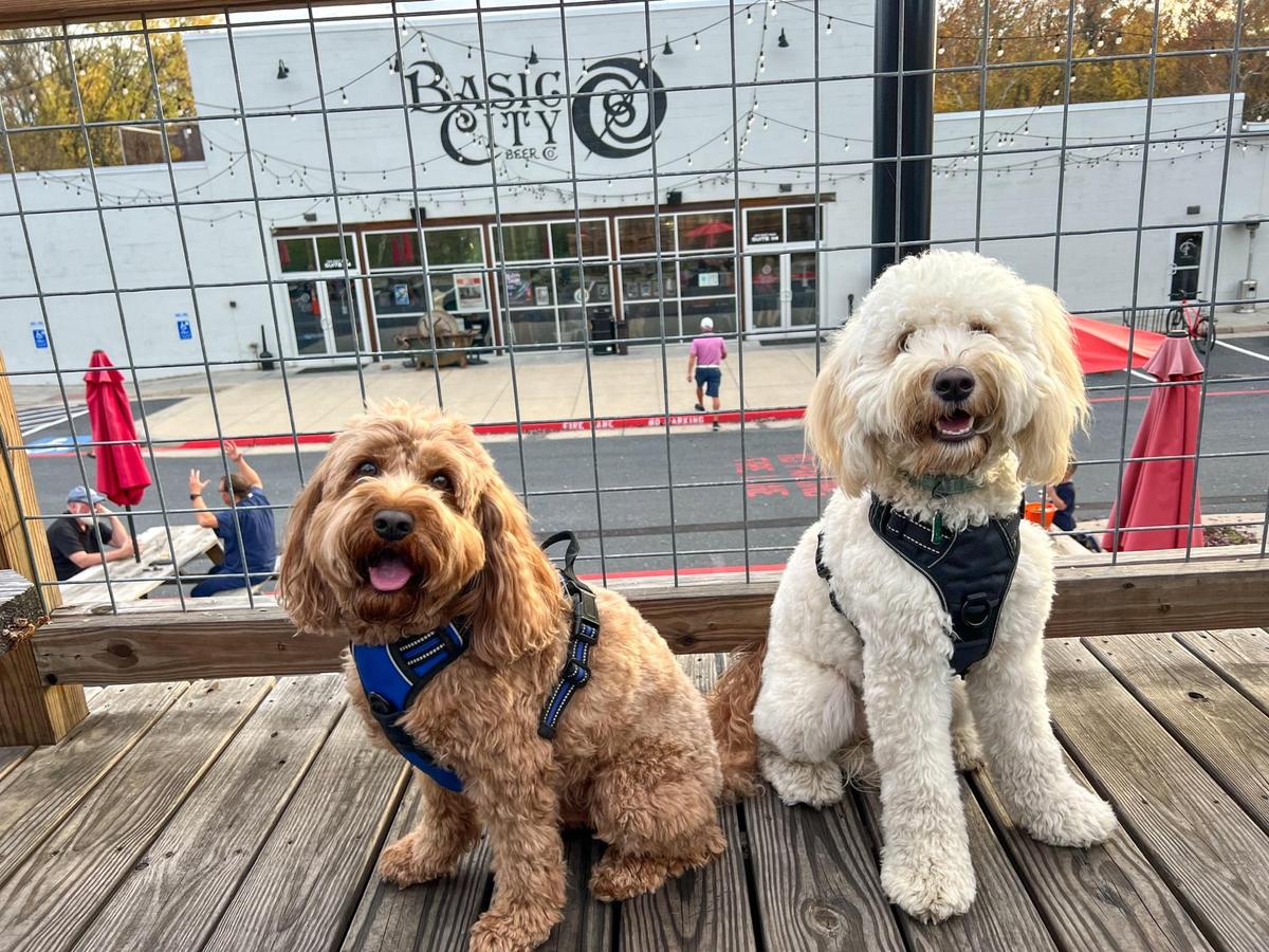 Basic City Beer Co. restaurant view 1